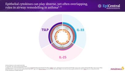 The role of epithelial cytokines in asthma control and remission