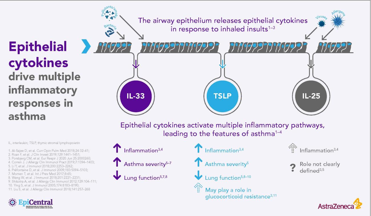 Multiple clinical features of asthma are associated with increased expression of epithelial cytokines