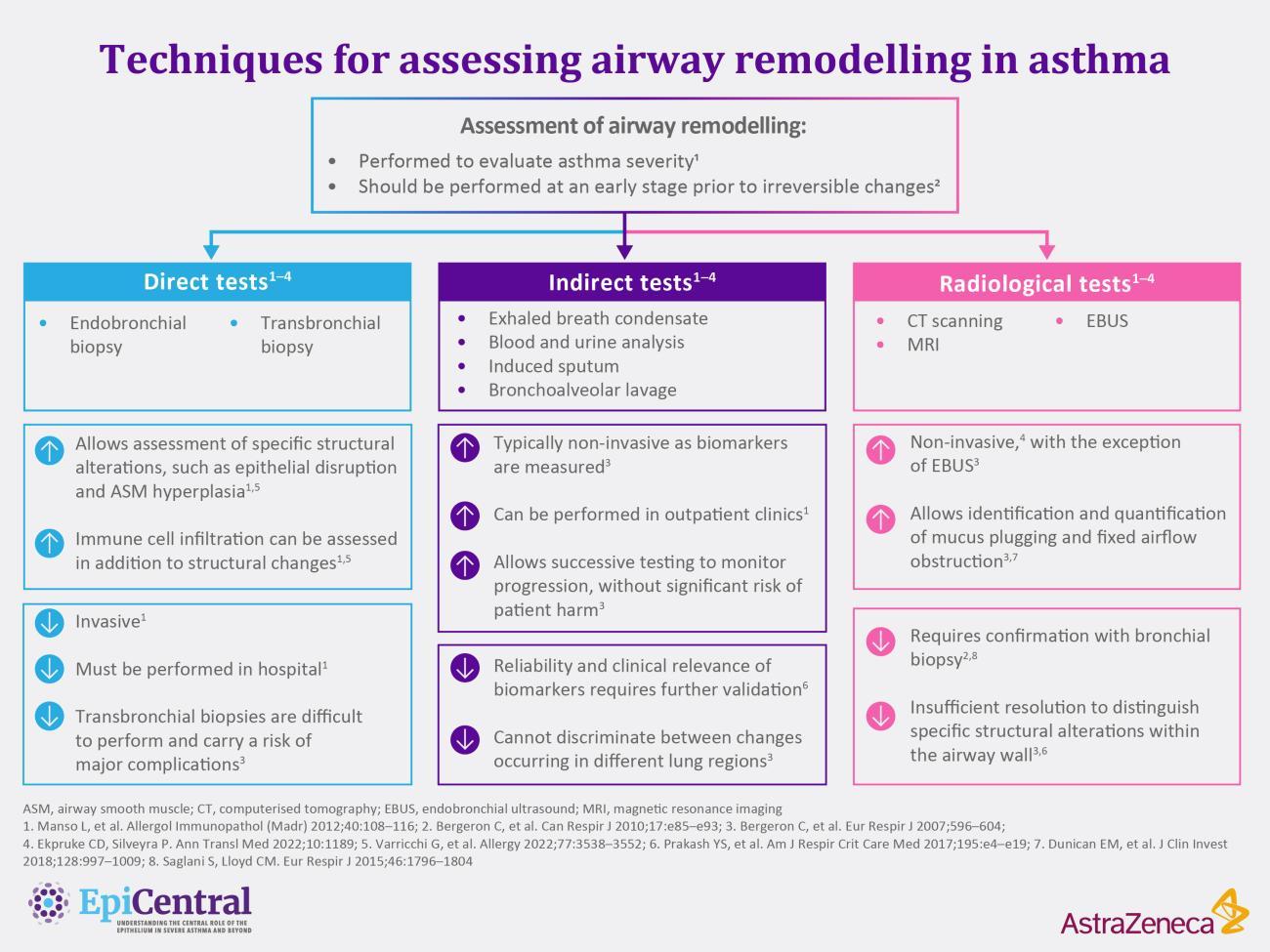 Techniques for assessing airway remodelling in asthma