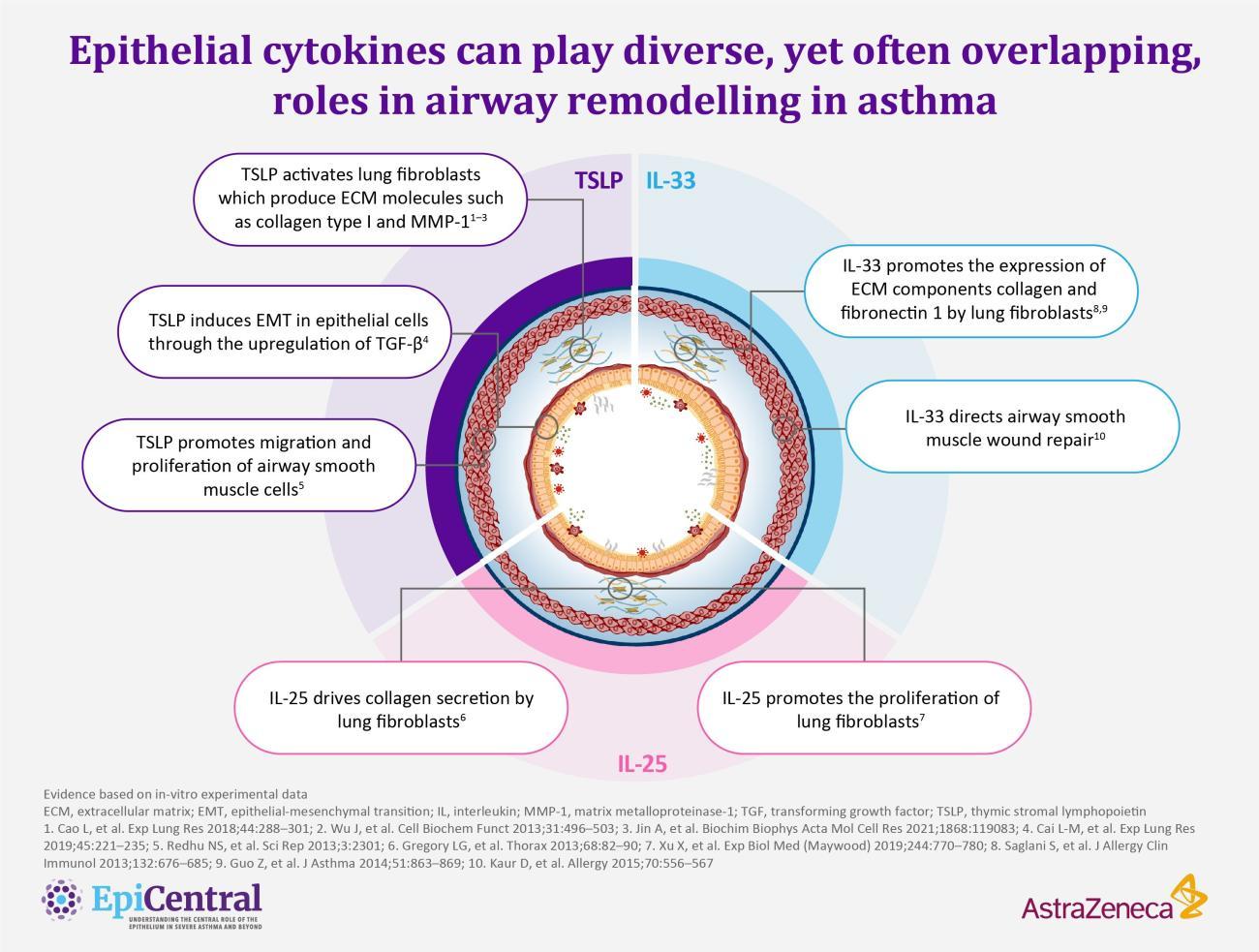 Epithelial cytokines can play diverse roles in airway remodelling in asthma