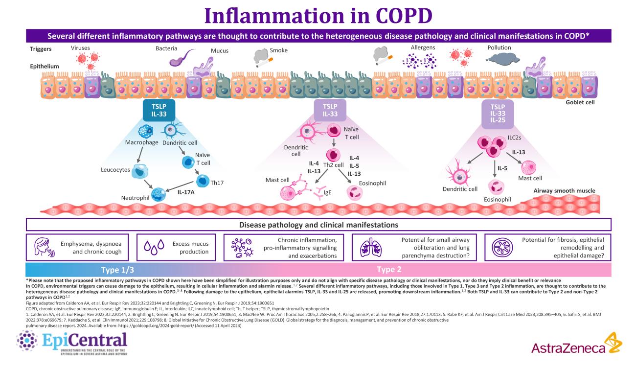 Simplified Inflammatory Cascade