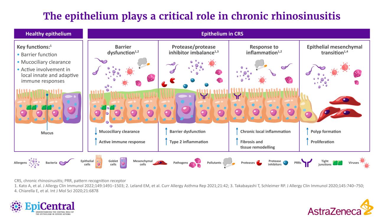 Epithelial Barrier