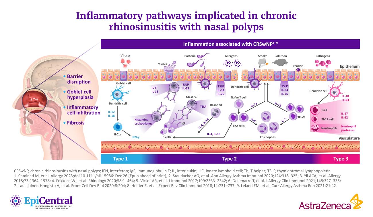 Inflammatory Cascade